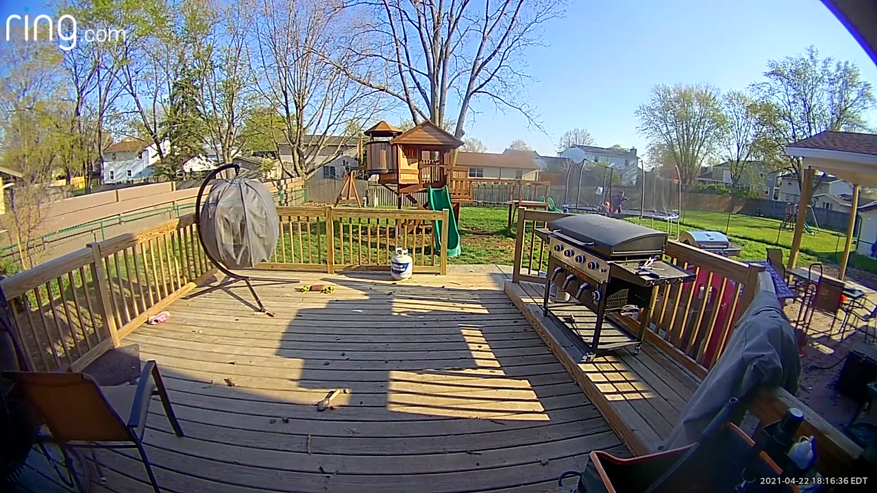 Kid Gets Knocked Down By Great Dane