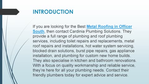 Best Metal Roofing in Officer South
