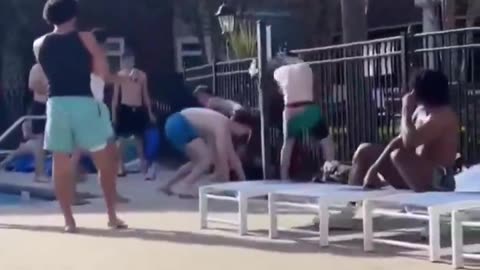 Why are they so violent?