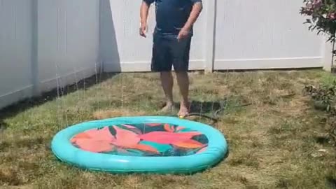 🐶💦 Dog dad splash pad demo gone wrong... or right? 🤣 | FunFM