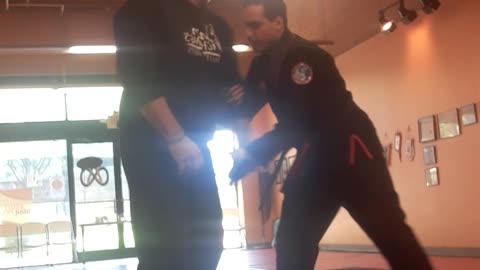 Tong Hap Kwan Hoshinsul