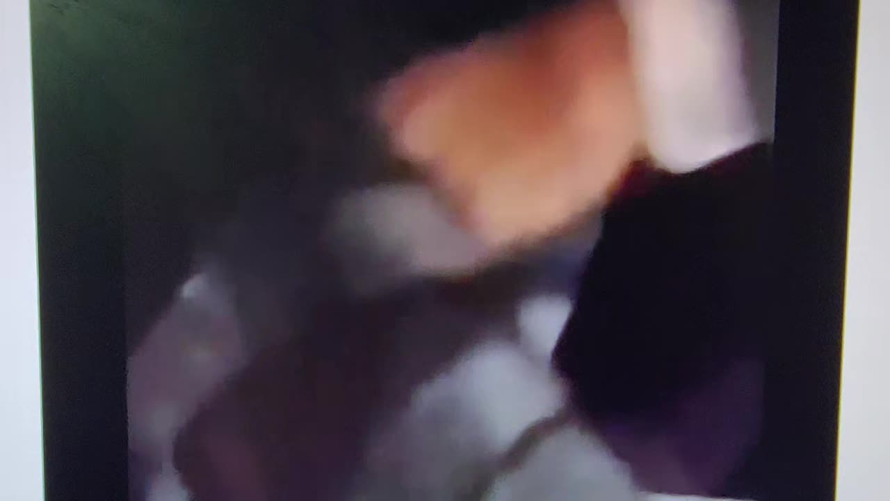 They did him wrong