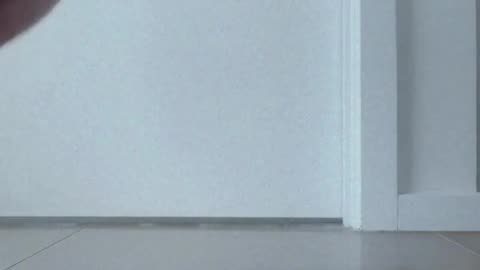 What you can do with a phone