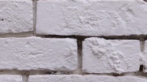 Daily Horoscope | Virgo 🌟