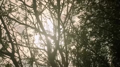 Último Viaje - Película completa
