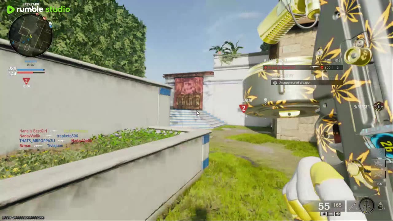 Black Ops 6 Test Stream.