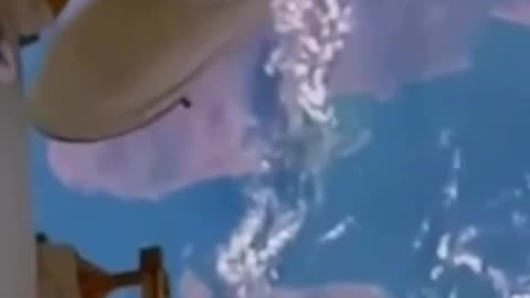 ISS 10x Faster than a speeding bullet!