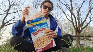 Twinkies Cereal!