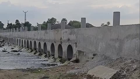 Bridge