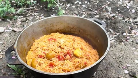 Cooking in the Rain 🌧️ in the Forest 🌲 by the Fire 🔥: Unforgettable!”