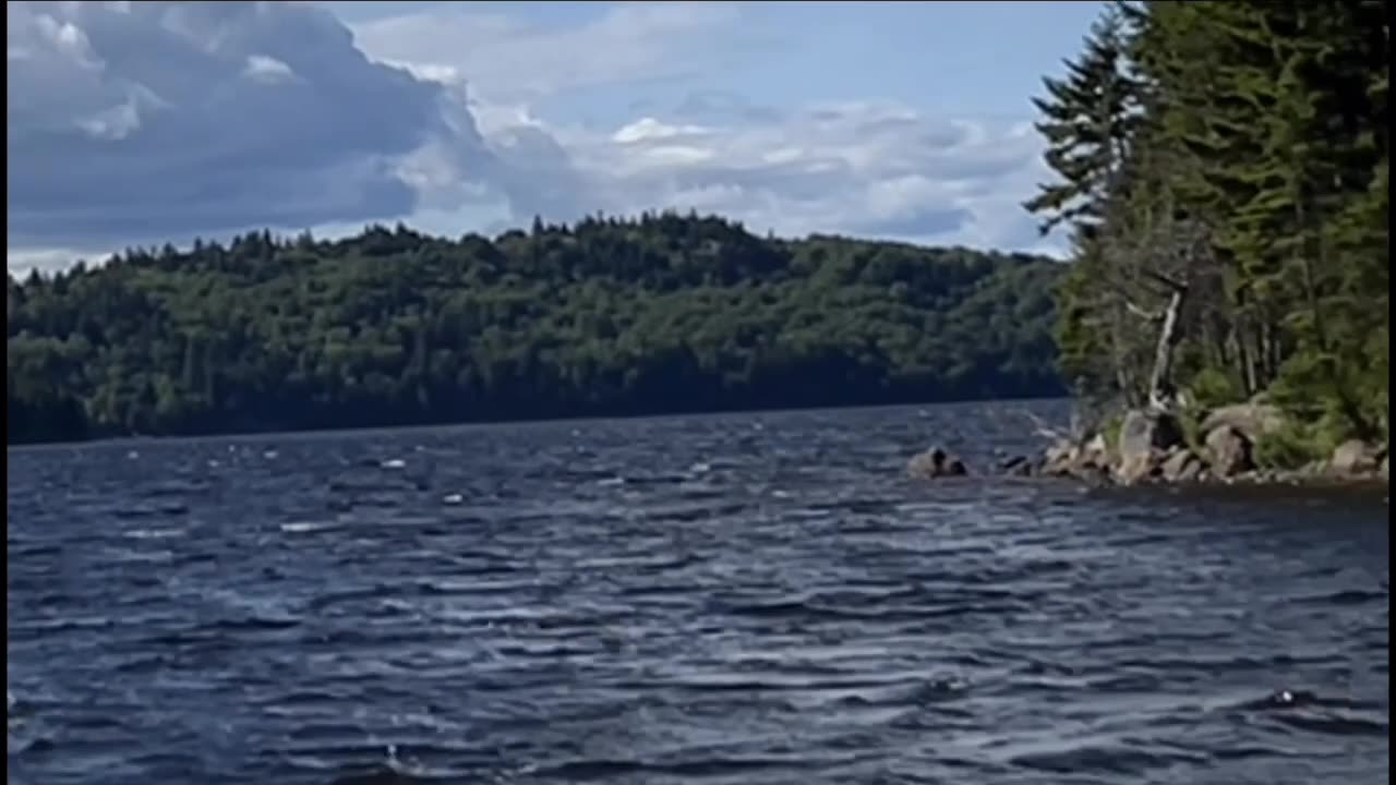 New Brunswick Canada 🇨🇦 Take it All In! Leaves Are Changing Colors! Winter Is Coming!