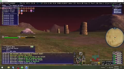 Playing Final Fantasy XI Online