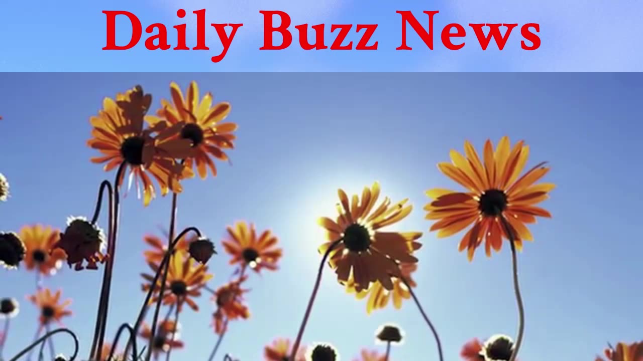 Namaqualand Flower Festival returns with music, trails, and wildflower magic