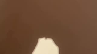 Pussy shadow follow for more