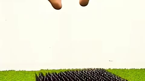 Which shoes will protect your Feet ?