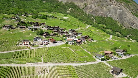 Green Village