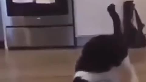 🤪🤯 His Name is John Cena! | FunFM