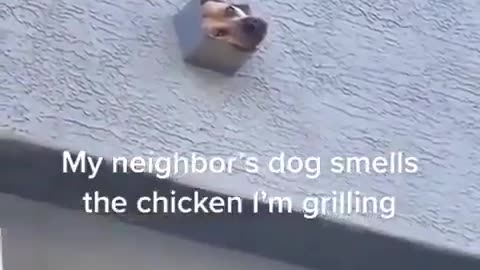 🍕🤣 He's Waiting for His Slice of Drama! | FunFM