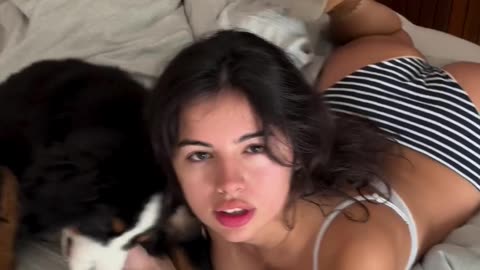 Mati Marroni Dog