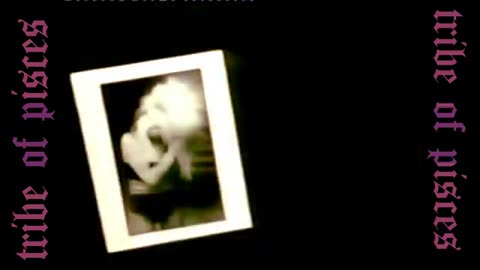 Tribe Of Pisces - 1980s Æsthetic (MV) [mirror]
