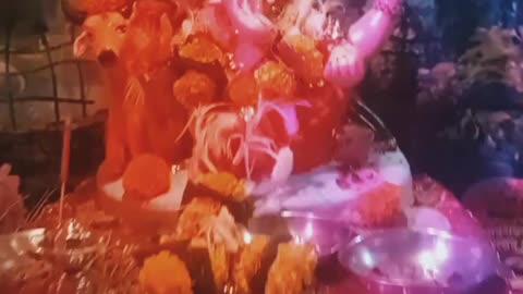 My Home ganpati bappa