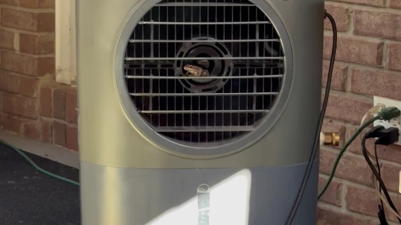 Tell Me It’s Hot With Out Telling Me It’s Hot