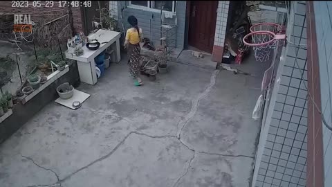Instant Karma Moments Caught on Camera!