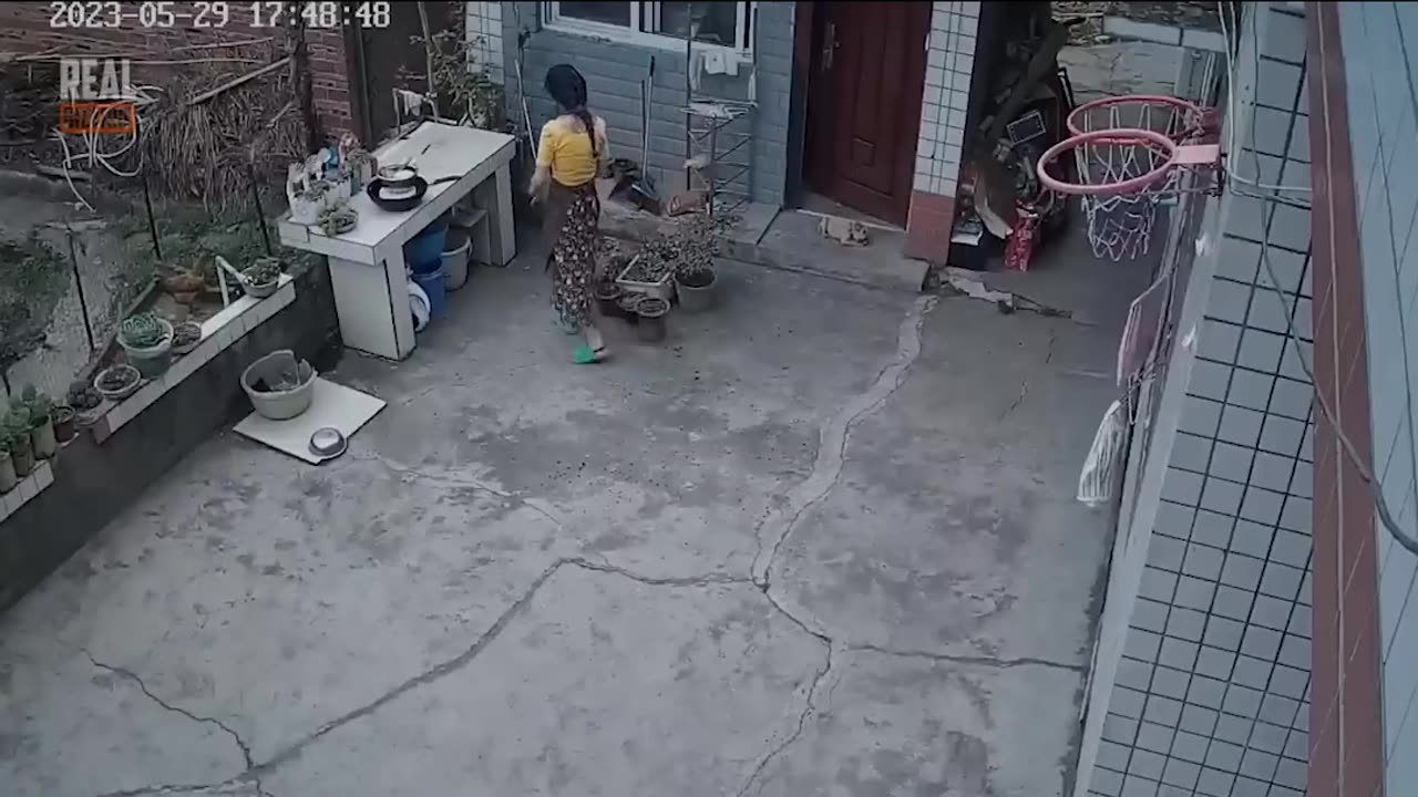 Instant Karma Moments Caught on Camera!