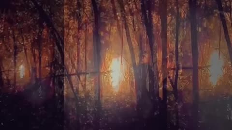 Just In- Anonymous Drops Bombshell About The Age of Disclosure!