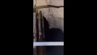 180+ Illegal Migrants Enter Poland Through Tunnel in Belarus