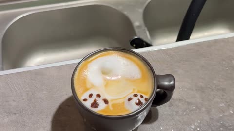 Woman Becomes Sad When Customer Prefers Coffee With No Latte Art