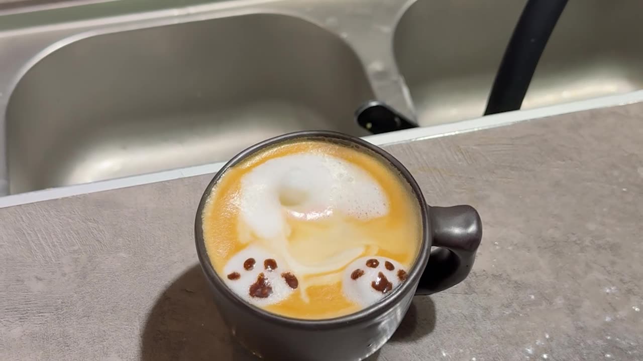 Woman Becomes Sad When Customer Prefers Coffee With No Latte Art