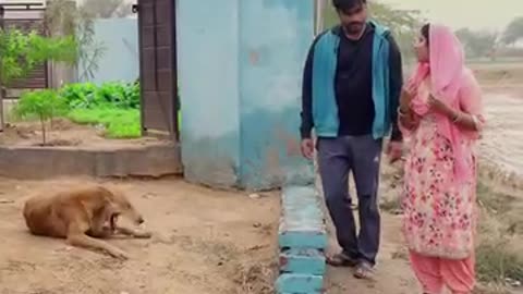 कुत्ते को ससुर जी बोल दिया 😂 #desi_molad #fbreelsfypシ゚vir