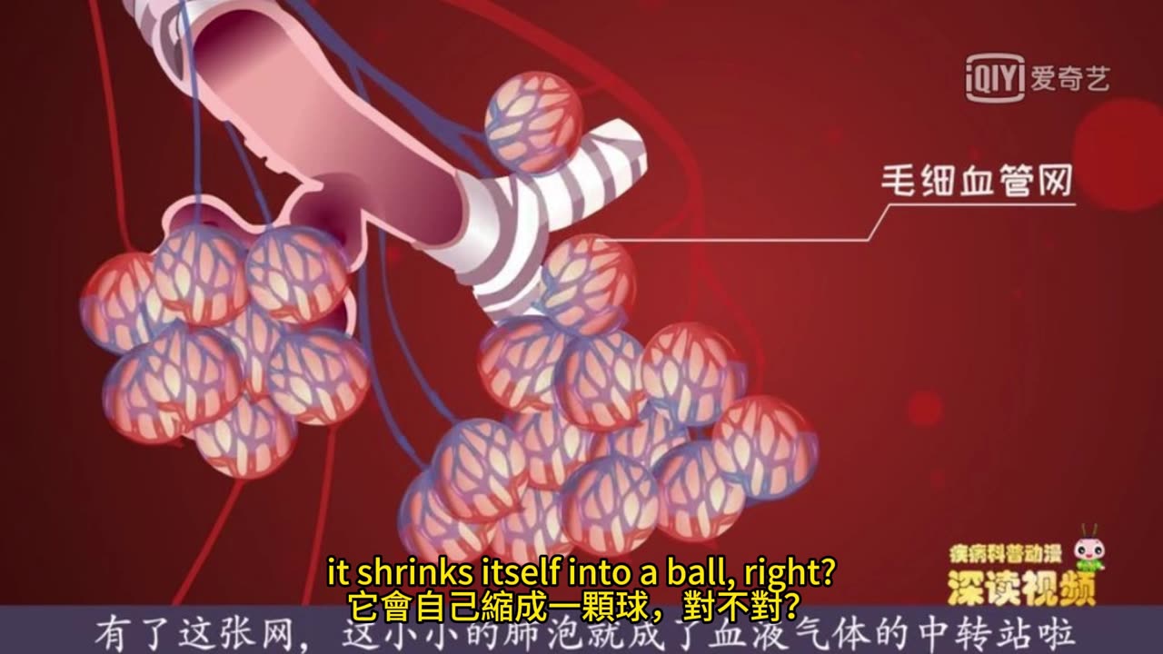 嘆氣與健康 肺部情緒穩定