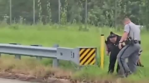Bacon on the Run!