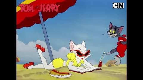 The Best of Tom's Pain & Jerry's Brain! 🧠🐭