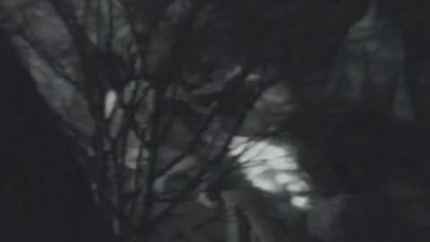 Watch Alex Jones Warn You About The New World Order Decades Ago in These Films
