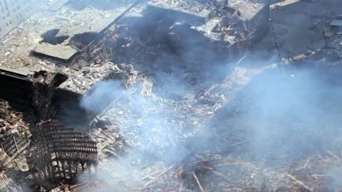 Watch Alex Jones Warn You About The New World Order Decades Ago in These Films