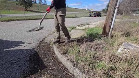 I Discovered A MOSS INFESTED Sidewalk And SCRAPED It Clean_part1