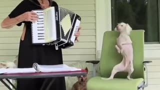 A grandma playing the accordion for her dancing best friend