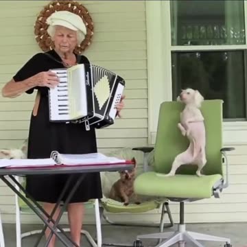 A grandma playing the accordion for her dancing best friend