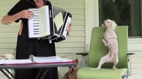 A grandma playing the accordion for her dancing best friend