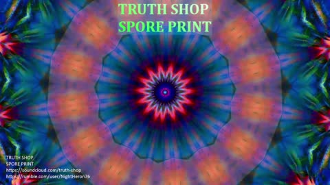 Truth Shop Radio: Live 24/7 Original Electronic Music
