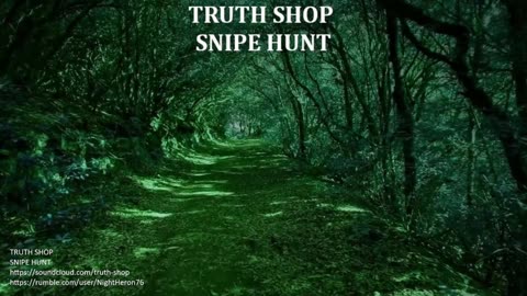 Truth Shop Radio: Live 24/7 Original Electronic Music