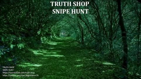 Truth Shop Radio: Live 24/7 Original Electronic Music