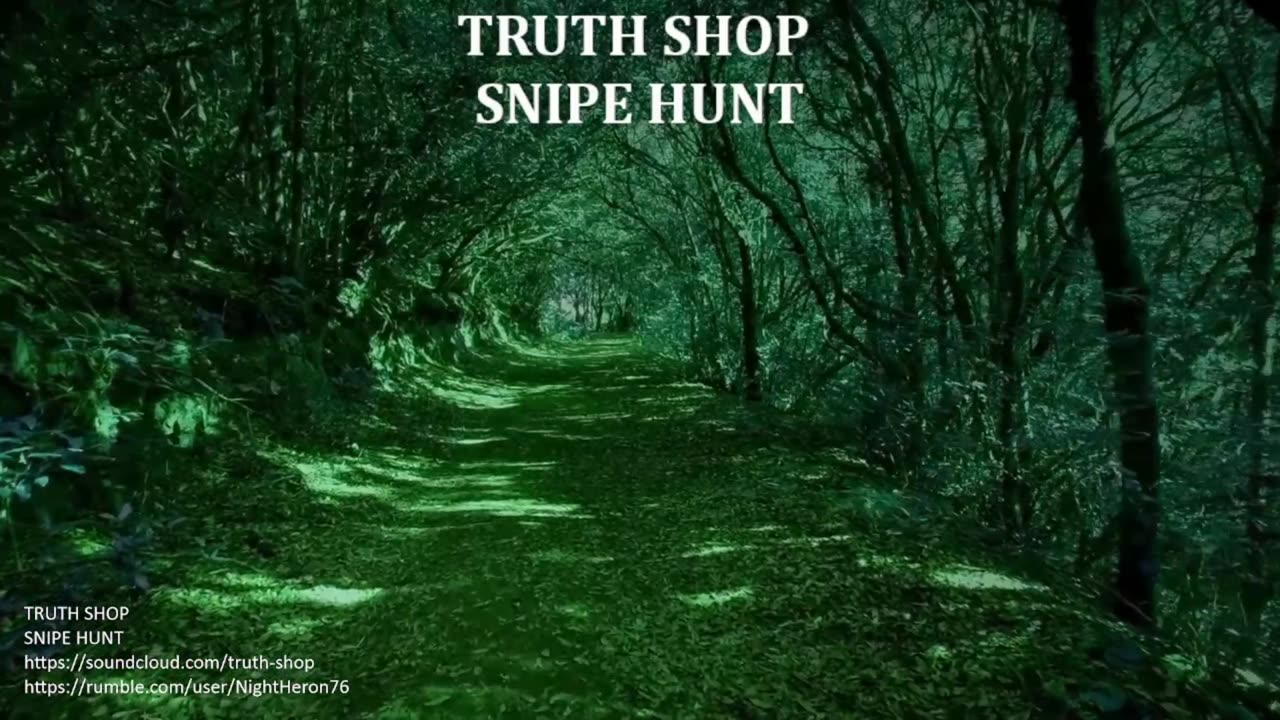 Truth Shop Radio: Original Electronic Music (DVR)