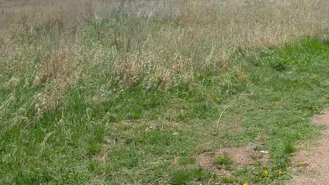The Walk part 2
