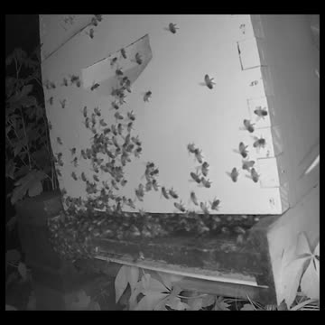 Monday Evening Lights Out