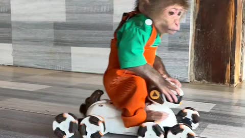 Adorable Baby Plays with Rattle for the First Time! 🍼💖