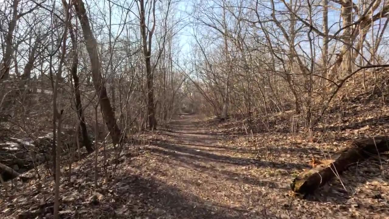 Walking on the bank of the creek. Slow virtual walk.